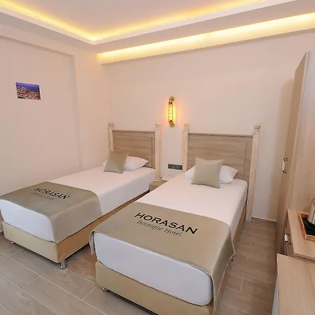 Hotel Horasan